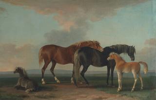 Mares and Foals, facing right