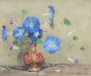 Heavenly Blue, Morning Glory