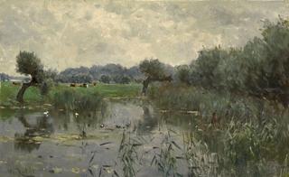 Water Meadows on the River IJssel