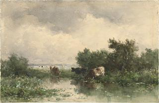 Three Cows at a Pond