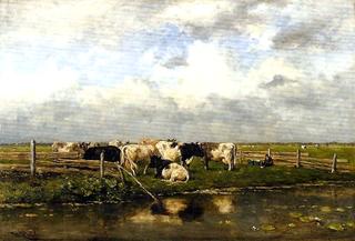 Cows by a Watercourse
