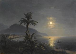 Palm Trees in the Moonlight