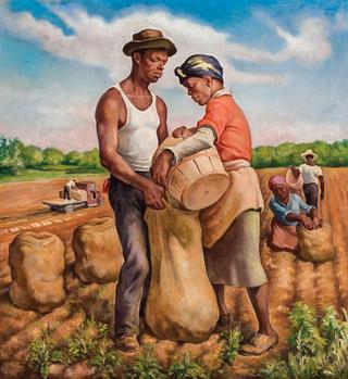 Potato Pickers