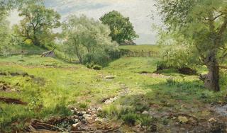 Summer Landscape