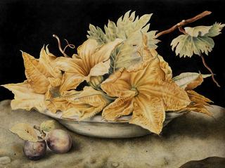 Still life with pumpkin flowers and vine leaves