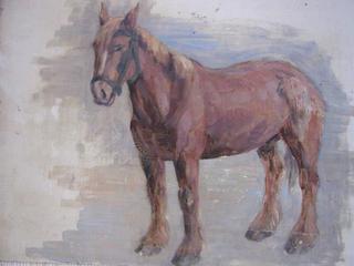 A Horse