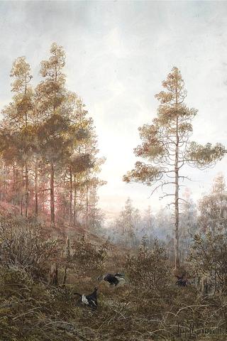 Twilight in the Woods