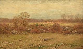 Landscape in New England