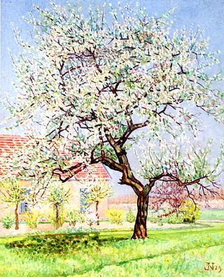 Blossoming Tree