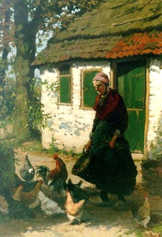 Feeding the Chickens