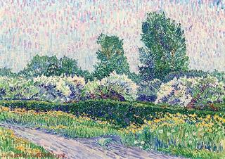 A blossoming orchard