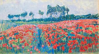 Poppy Field