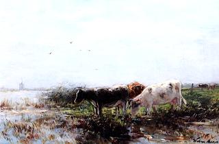 Cows on the River Bank