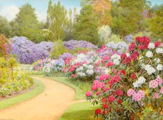 The Rhododendron Walk