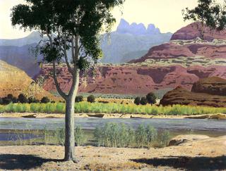 Bank of the Colorado River