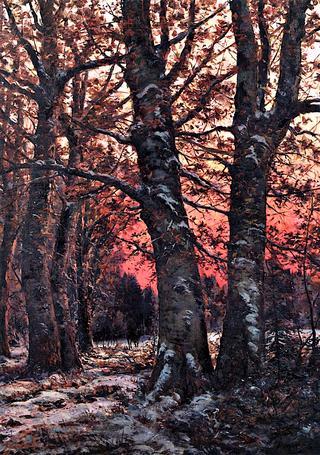 Snowy Woods at Sunset with Grazing Deer