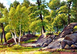 Rocks and Birch Trees in Sunlight
