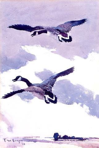 Geese in Flight