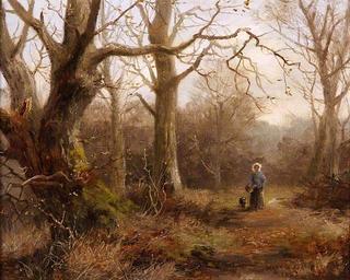 Woodland Scene