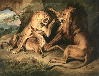 Lions at a Kill