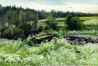 Landscape in Siverskaya