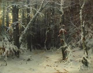 Forest in Winter