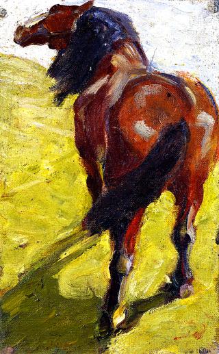 Study of a Horse