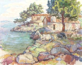 Coastal Scene