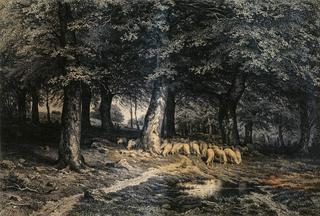 Sheep in the Wood