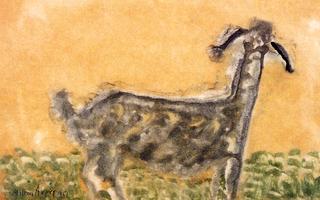 Curious Goat