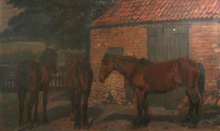 Three Brown Horses Standing Outside a Stable