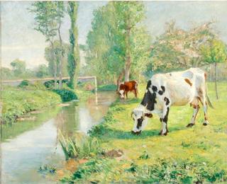 Cows Grazing along the Canal