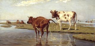 索尔福尔姆的奶牛
