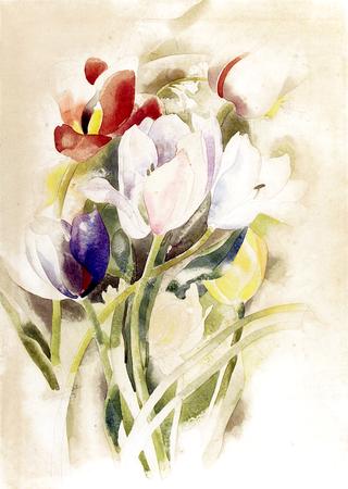 Tulips