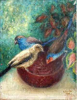 Three Garden Birds on a Red Bowl