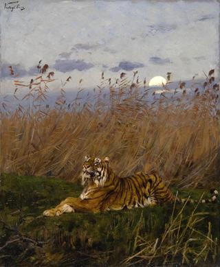 Tiger Among Rushes in Moonlight