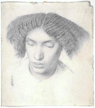 范妮C.h.n.夫人的肖像