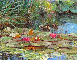 Ducks in Pond