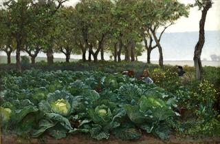 Children Playing in the Cabbage Field