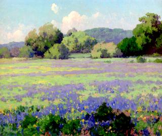 Texas Bluebonnets