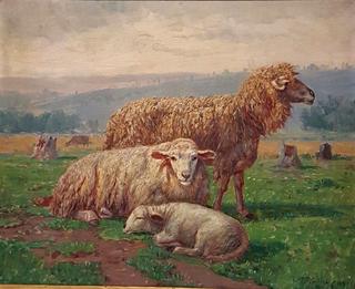 Sheep with Lamb