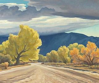 Cottonwoods of the Rillito