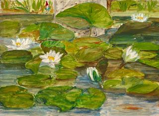 Waterlilies in the Garden