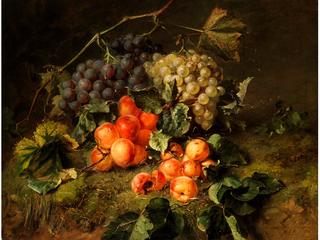 Grapes and apricots on a forest floor