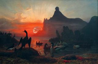 Seabirds in the Midnight Sun