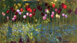 Tulips, Forgetmenots