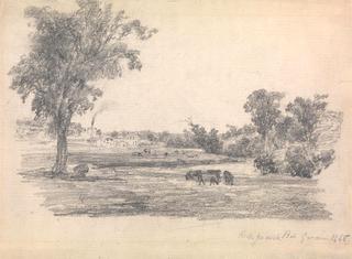 Richmond Paddock at the Foot of Punt Road