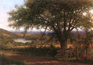 View to the River