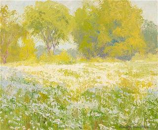 Spring Meadow