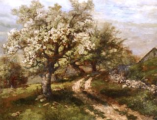 Spring Landscape